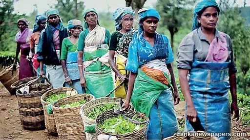 LNP - Plantation workers paid Rs.1,000 daily now - Jeevan