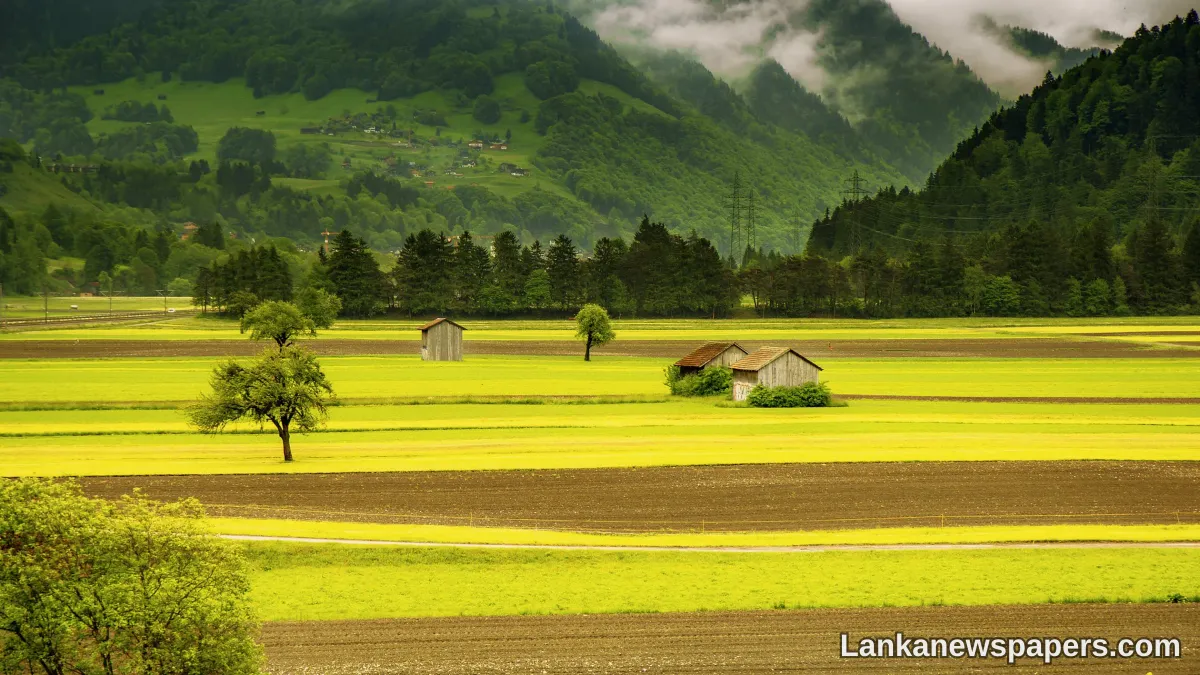 LNP - EU, WB support modernization of SL’s agri sector