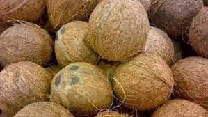 LNP - Maximum retail price imposed on coconuts removed