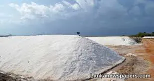 LNP - Salt export project to net USD 200 mn annual revenue