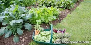 LNP - Baurs to bring expert team to study Sri Lanka’s agriculture ecosystem