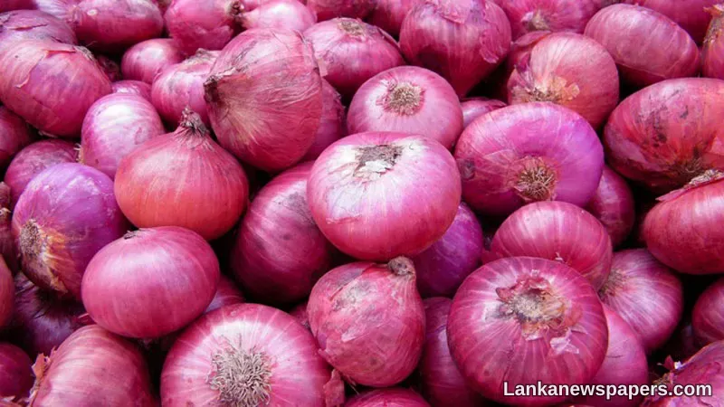 LNP - Tax of Rs. 40 on imported big onions from today: Agri. Minister