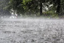 LNP - Heavy showers above 100 mm expected in several areas today