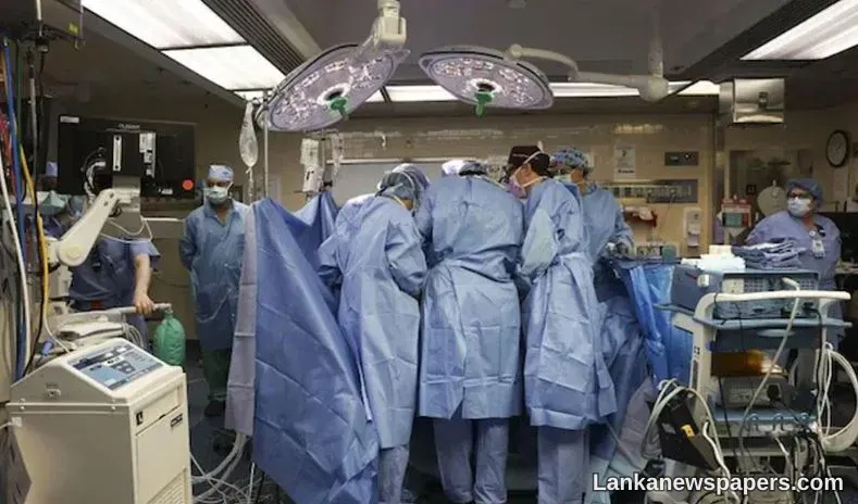 LNP - New virus discovered in China that can affect brain