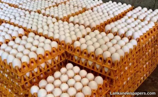 LNP - Egg traders urge govt to implement pricing formula