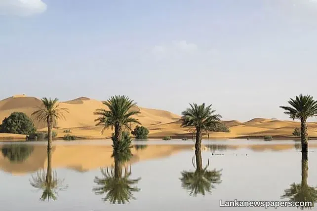 LNP - Sahara Desert flooded for the first time in decades