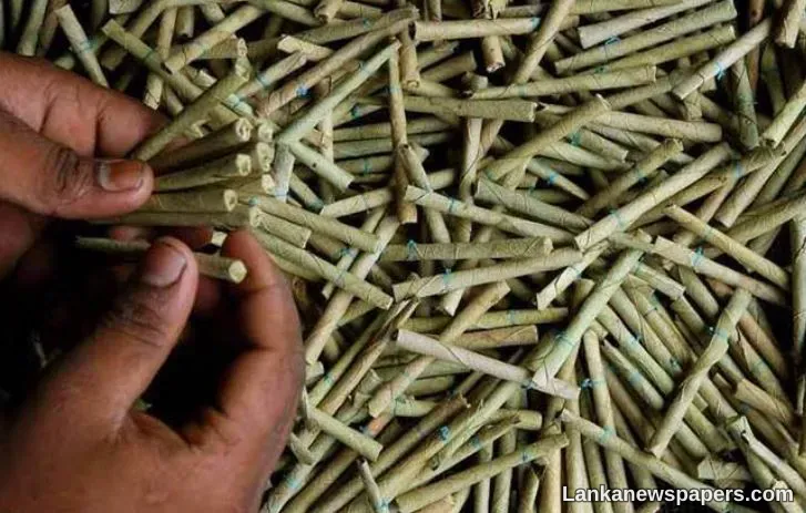 LNP - The Onslaught of the Beedi Industry and its Impact on Sri Lanka’s Economy
