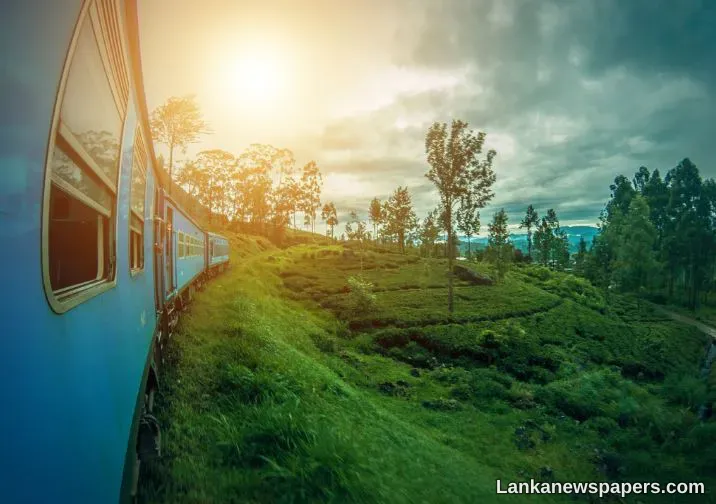 LNP - Sri Lanka featured in SMH Traveller’s list of 25 countries they can’t stop thinking about