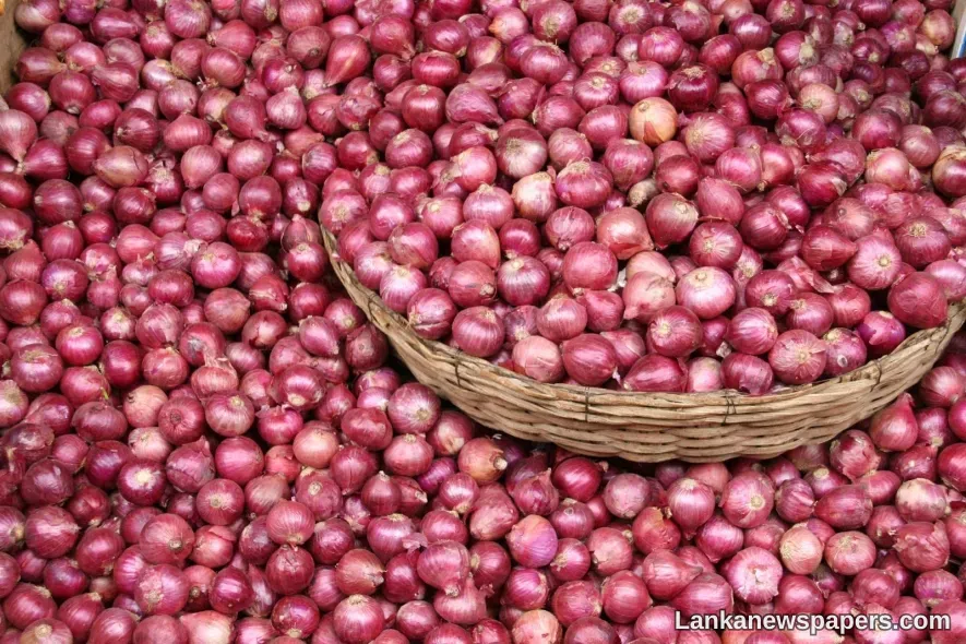 LNP - Special Commodity Levy on imported big onions reduced
