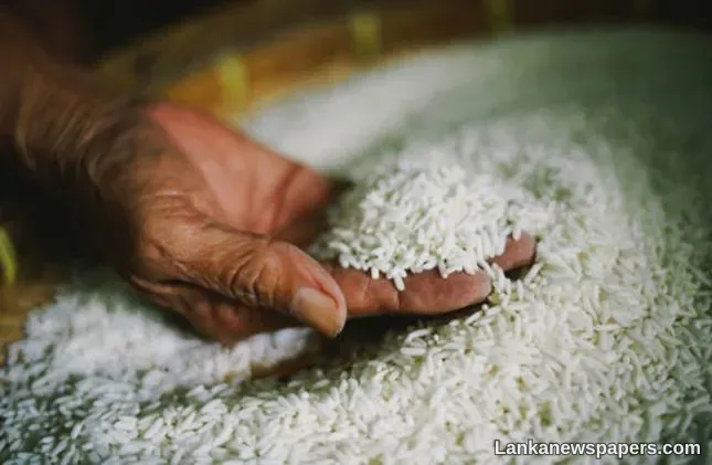 LNP - Rice imports deadline to end tomorrow