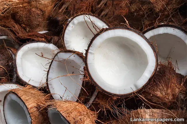 LNP - Cabinet nod to import coconut kernel-related products equivalent to 200M coconuts