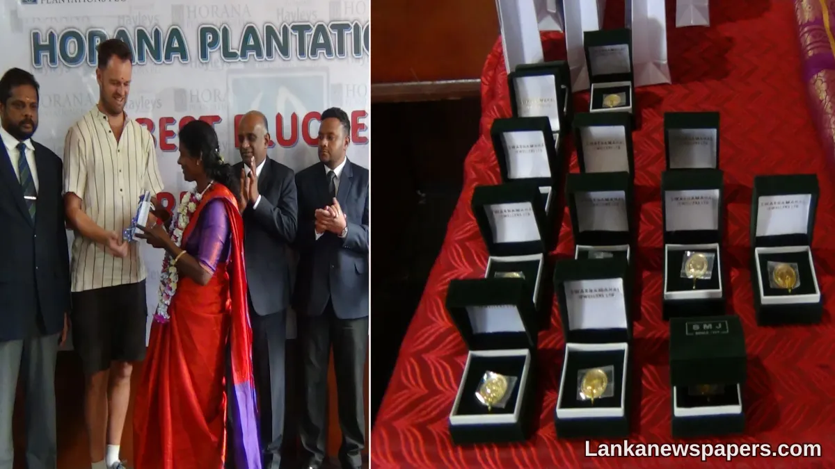LNP - Sri Lanka’s top tea pluckers honoured with gold coins