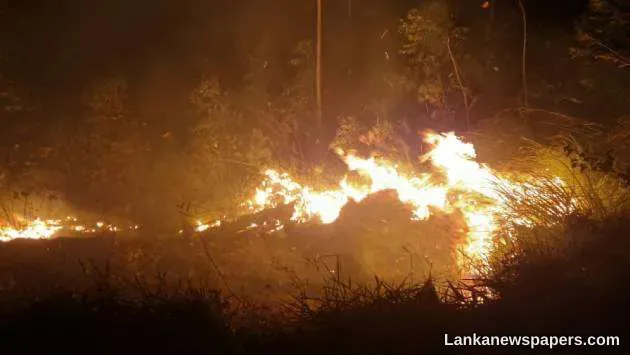 LNP - Ella bush fire spreading