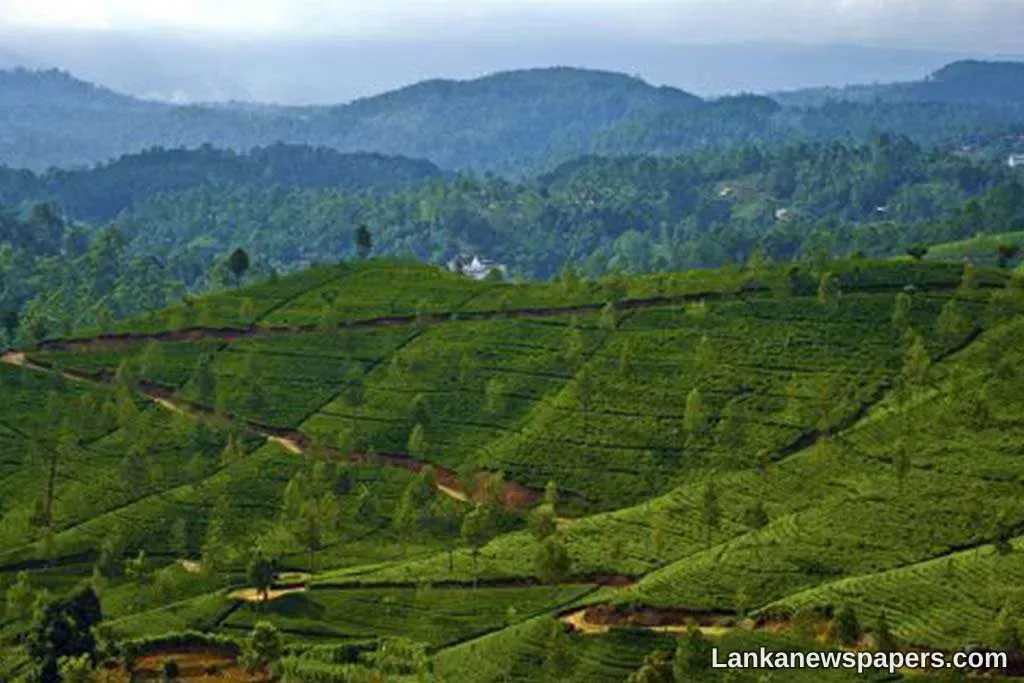 LNP - Government to lease underutilized state-owned land to SMEs for productive economic activities