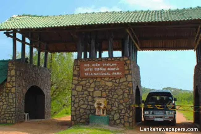 LNP - Several roads in Yala National Park to reopen starting today
