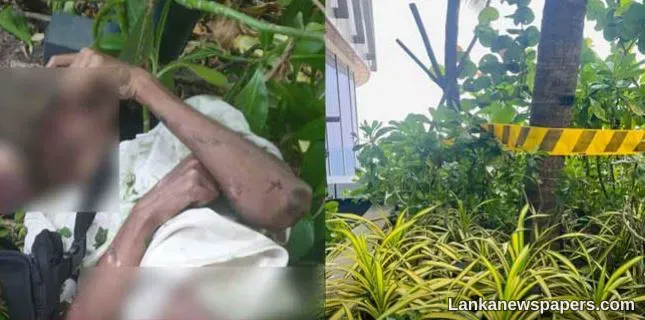 LNP - Youth dies after falling from 31st floor of luxury hotel in Colombo
