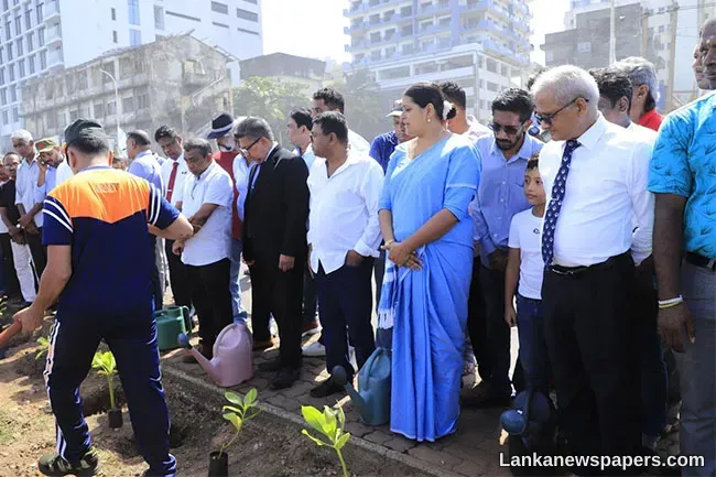 LNP - Tree planting project along Colombo’s Marine Drive commences