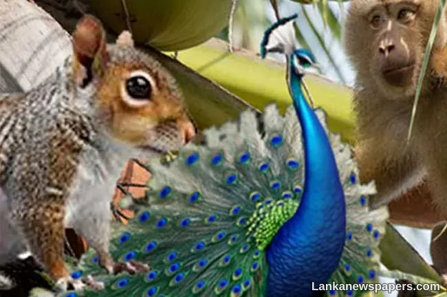 LNP - National Animal Census report released