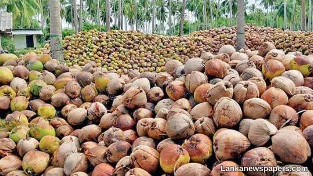 LNP - Coconut harvest to drop further this year, imports to continue