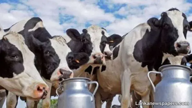LNP - MR, Maithri, Ranil, Basil, others involved in USD 110 million cattle import scam: MP
