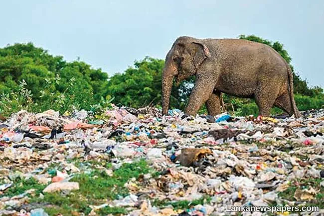 Law to be strictly enforced against individuals who violate environmental regulations