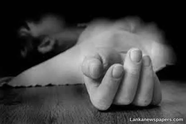 Three-year-old killed in road accident involving cab in Welipenna