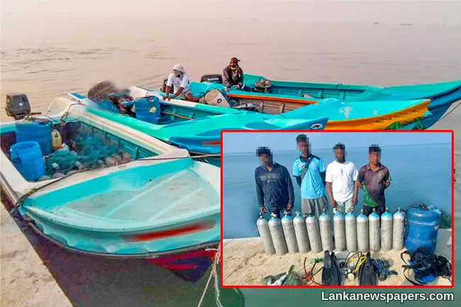 13 apprehended for harvesting sea cucumber illegally in seas off Kilinochchi