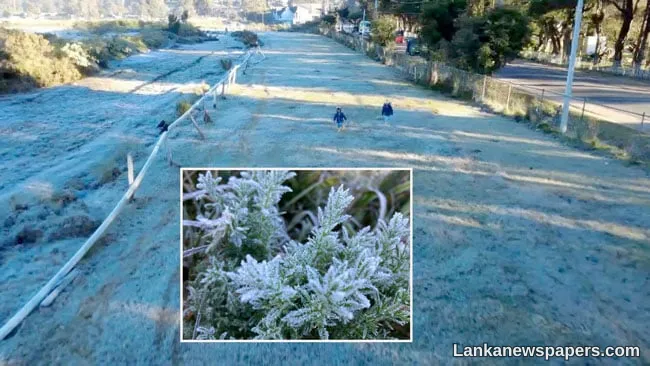 Morning frost in Nuwara Eliya with minimum temperature at 7.8°C today