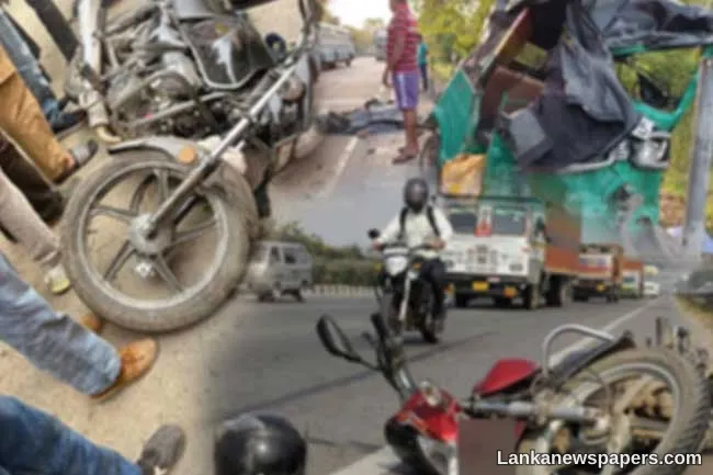 Four including woman killed in separate road accidents