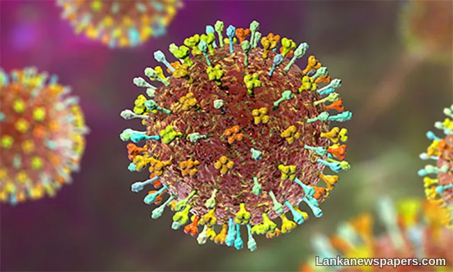 Myanmar steps up Nipah virus monitoring, issues travel health advisory