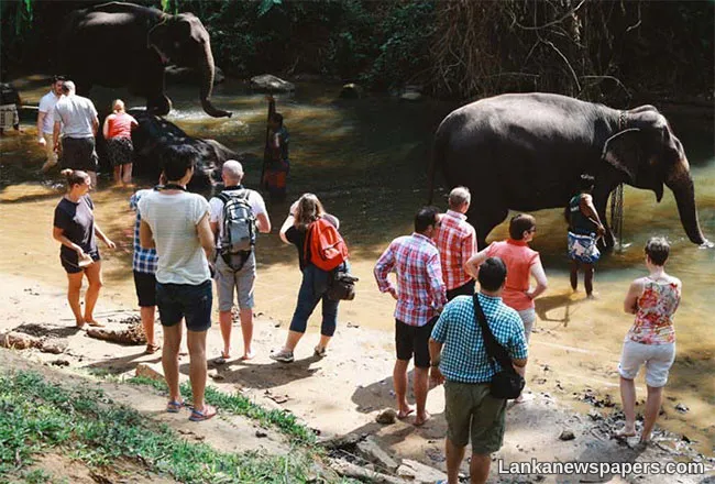 Tourist arrivals in 2026 top 220,000
