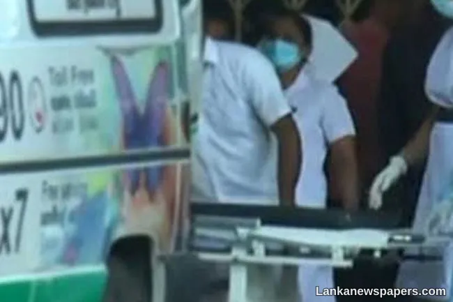 Four persons killed in separate road accidents