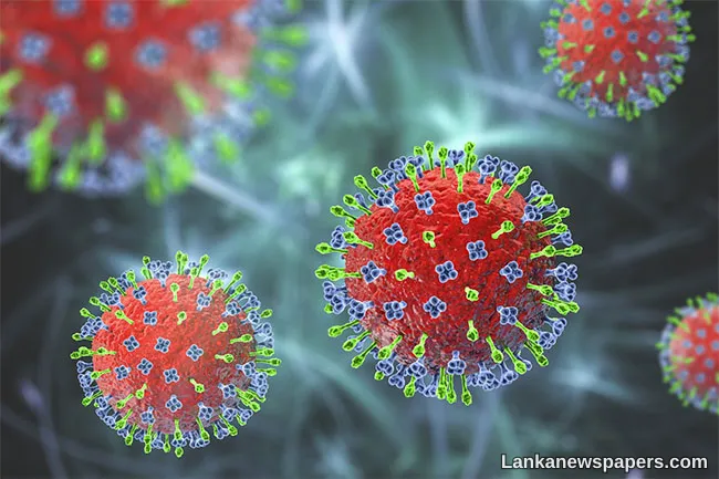 Public advised not to panic amid Nipah virus concerns in India