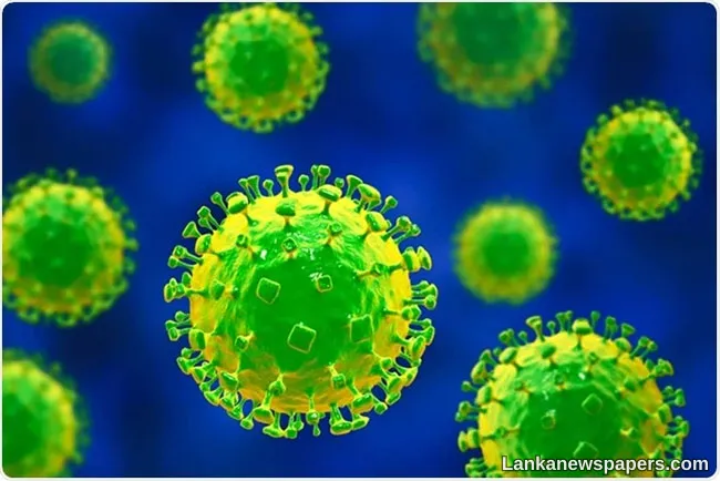 Singapore to conduct temperature screening at airport over Nipah outbreak