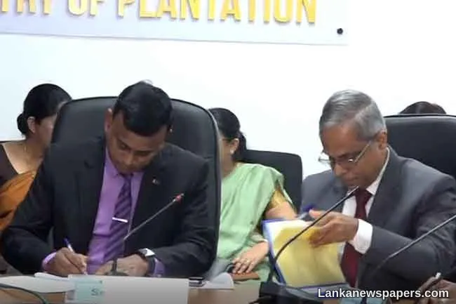 Govt signs agreement with plantation companies to increase estate workers daily wage