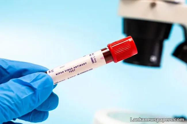WHO sees low risk of Nipah virus spreading beyond India