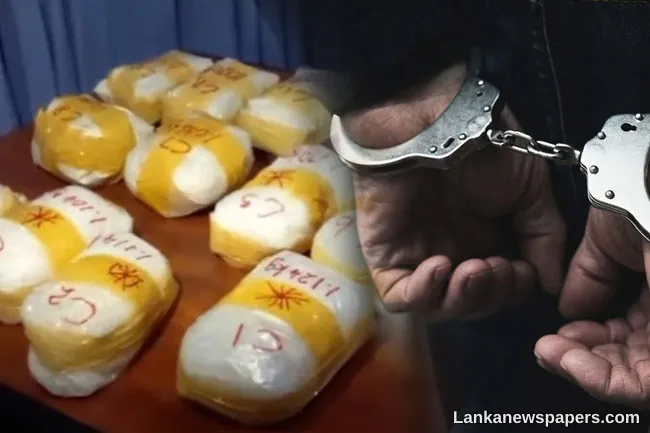 Former army intelligence officer among 4 arrested with drug haul and ammo cache
