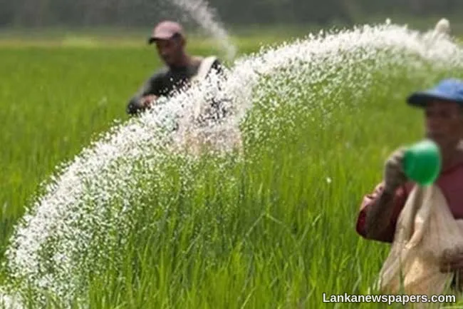 Cabinet approves fertilizer subsidies for 2026 Yala season