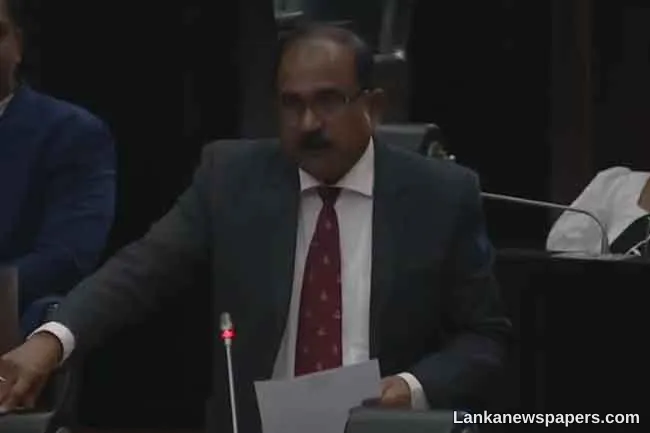 Coming weeks decisive for Sri Lanka due to global developments - Deputy Defense Minister