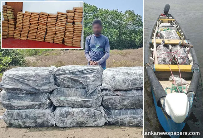 Suspect nabbed with 368kg of foreign-origin cannabis worth over Rs. 73 million