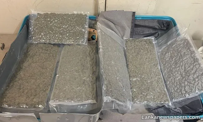 Indian national arrested with over 2.7 kg of Kush at BIA