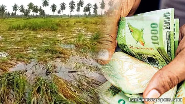 Compensation process begins for farmers affected by crop damage in 2025'26 Maha Season
