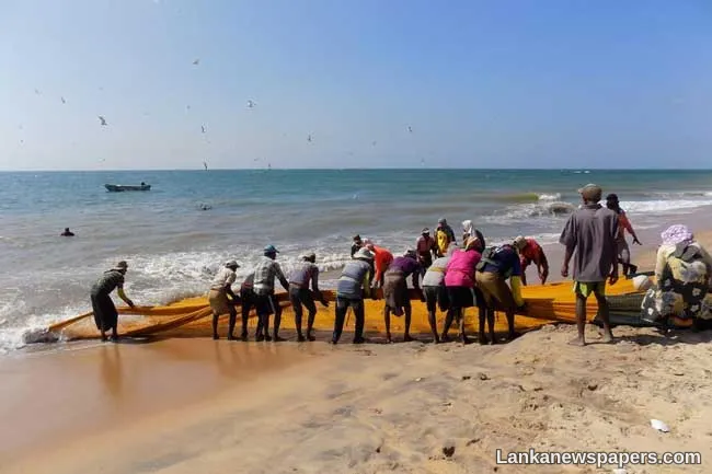 Dedicated number introduced to report issues in fishing industry
