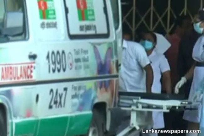 Pedestrian killed after run over by bus while crossing road
