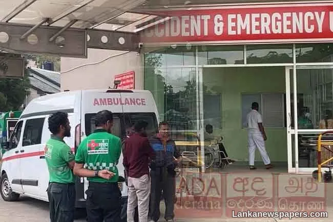 Seven police officers injured in wasp attack during raid in Kotmale