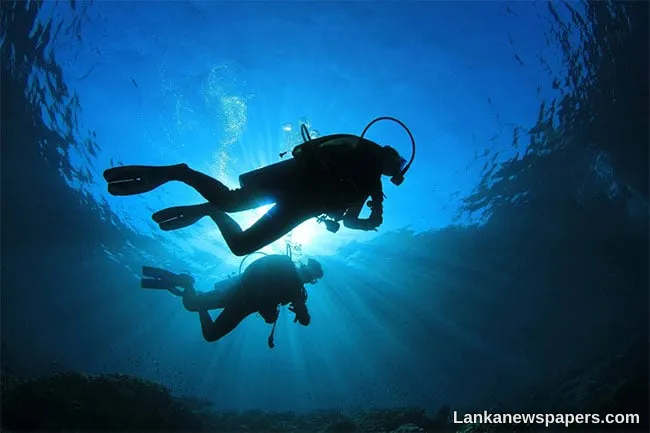Agrarian Insurance Board introduces dedicated insurance scheme for divers