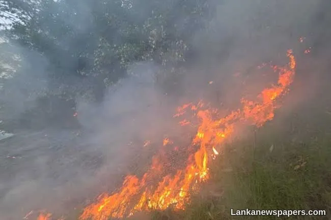 Fire breaks out on main island of Castlereagh Reservoir