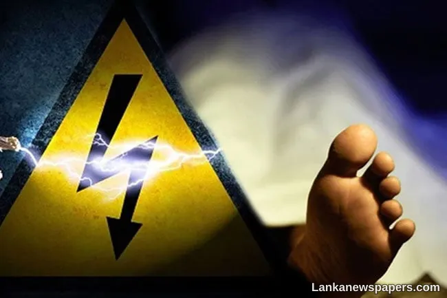 Two persons electrocuted to death in Polgahawela