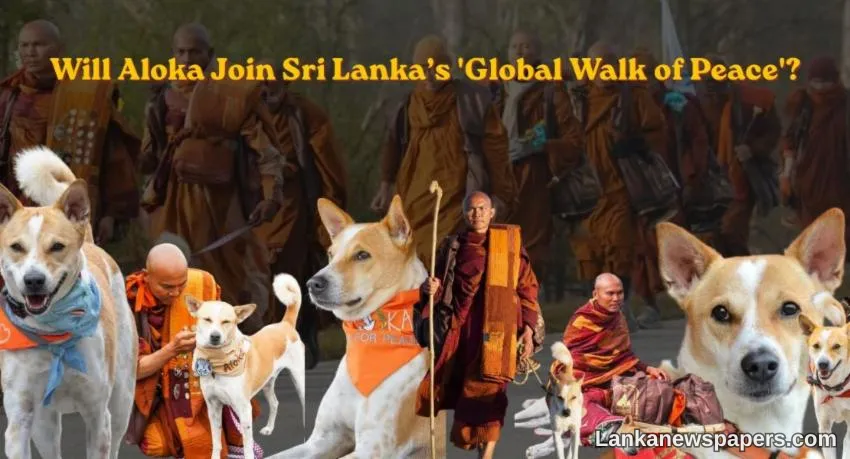 16-04-2026 | 2:36 PMWill Aloka Join Sri Lanka’s Global Walk of Peace?The upcoming “Walk of Peace” set to be held in Sri...