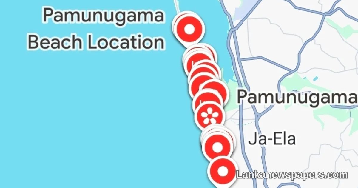 Search Underway After Woman and Three Children Swept Out to Sea Near Pamunugama